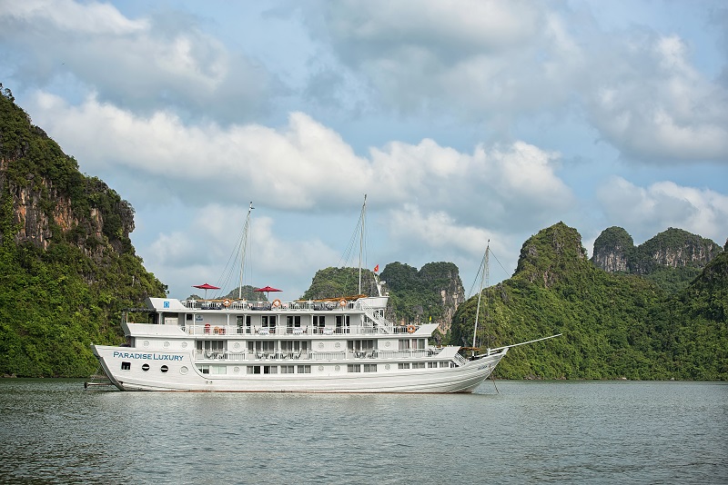 Paradise Luxury Cruises (FOC tourist visa on arrival)